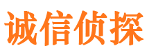 屏边寻人公司